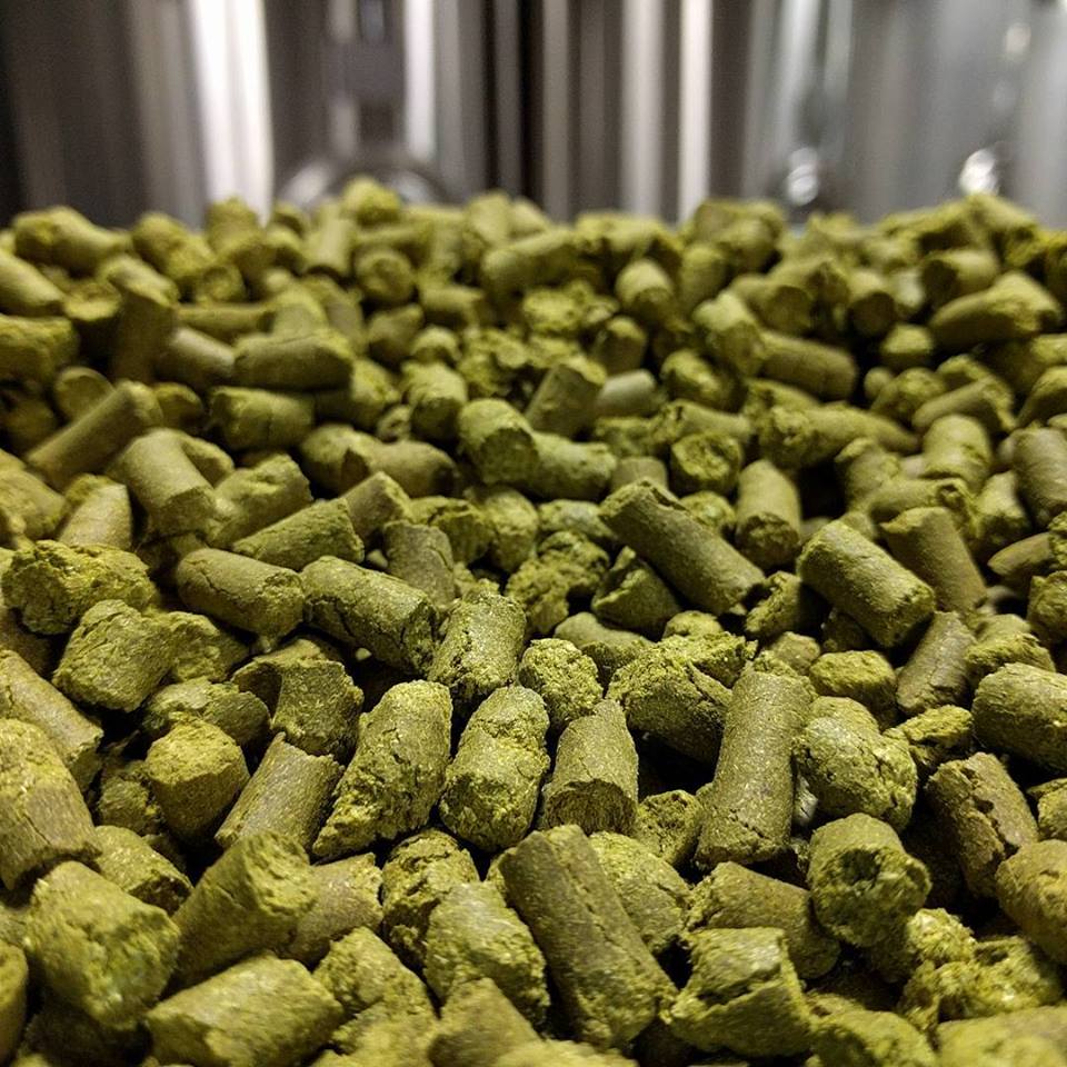 Pelletized Hops